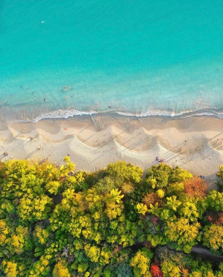 Somptueux Duplex Sur La Route Des Plages Sainte-Anne Dış mekan fotoğraf